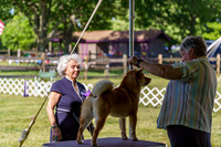 20190524-DSC09428