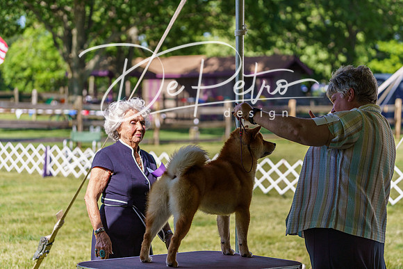 20190524-DSC09428