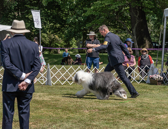 20220620-DSC04084