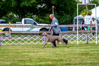 20190523-DSC07018