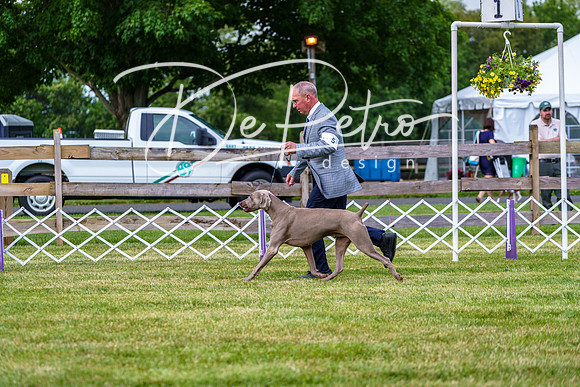 20190523-DSC07018