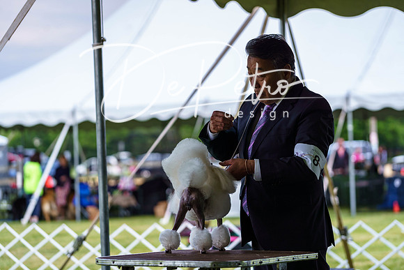 20190523-DSC07122
