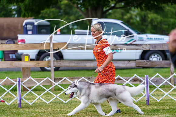 20190523-DSC07197