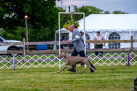 20190523-DSC07013