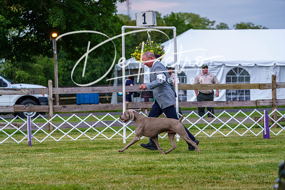 20190523-DSC07013
