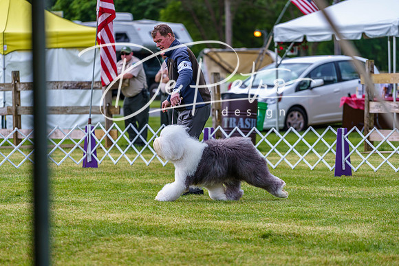 20190523-DSC07309