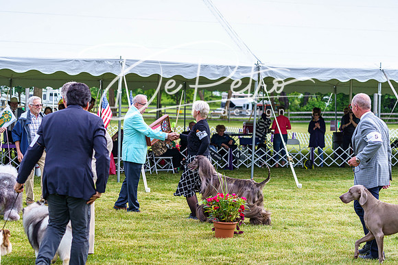 20190523-DSC07449