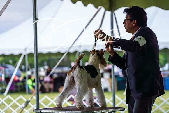 20190523-DSC07106