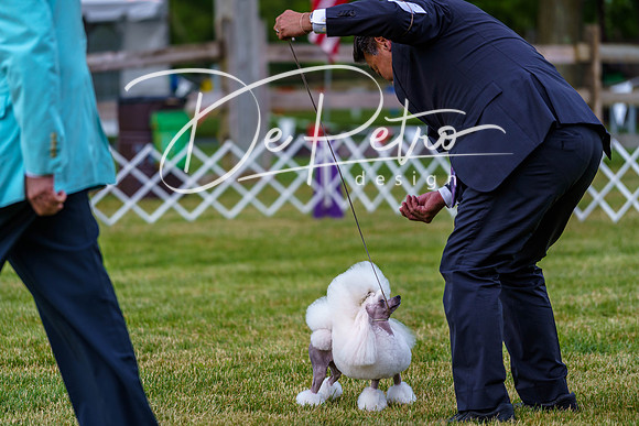 20190523-DSC07157