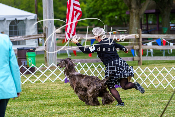 20190523-DSC06966