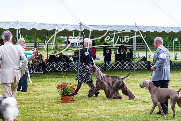 20190523-DSC07443