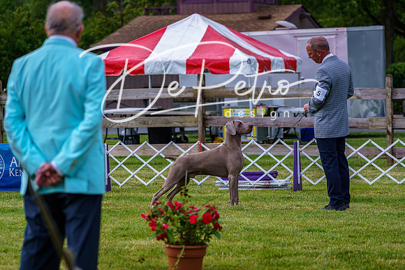 20190523-DSC07255