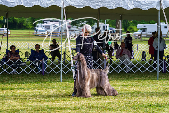 20190523-DSC07331