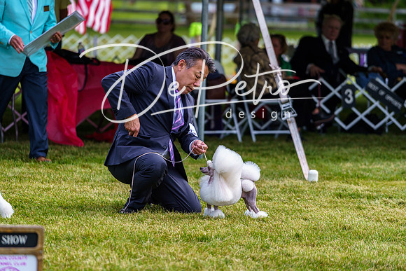 20190523-DSC07366