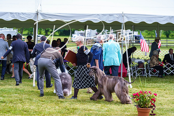 20190523-DSC07479