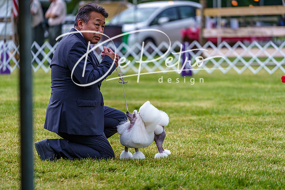 20190523-DSC07236