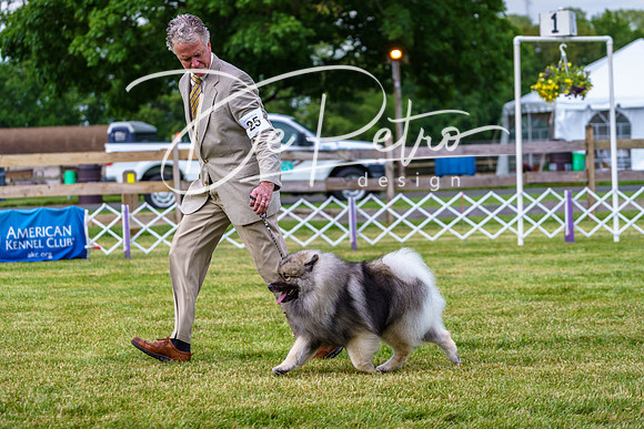20190523-DSC07070