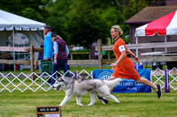 20190523-DSC06950