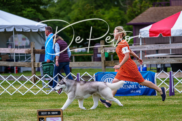 20190523-DSC06950