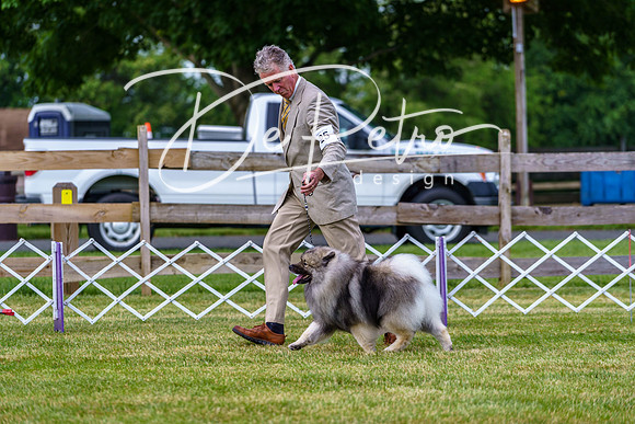 20190523-DSC07088