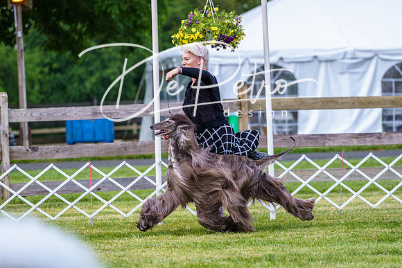 20190523-DSC07219