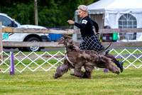 20190523-DSC06870