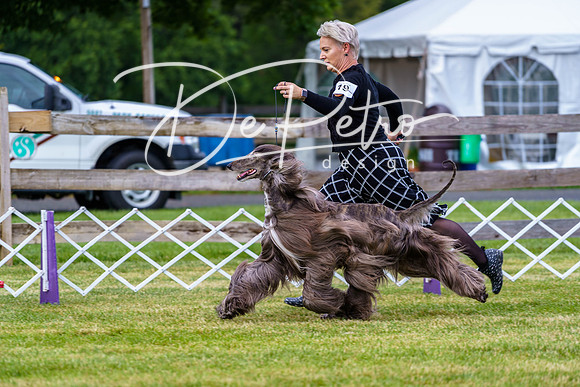 20190523-DSC06870