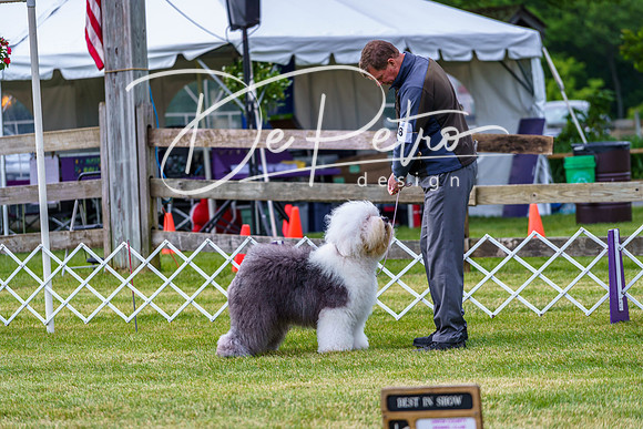 20190523-DSC07302