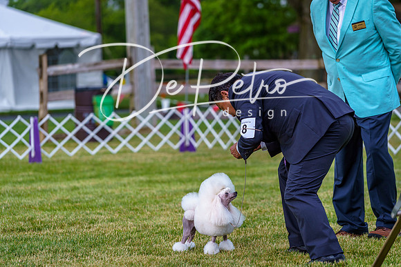 20190523-DSC07145