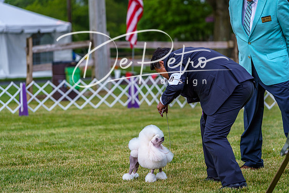 20190523-DSC07147