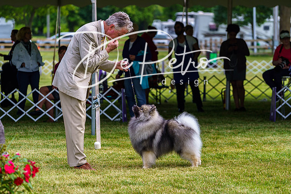 20190523-DSC07350