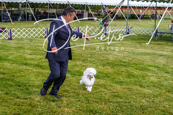 20190523-DSC07404