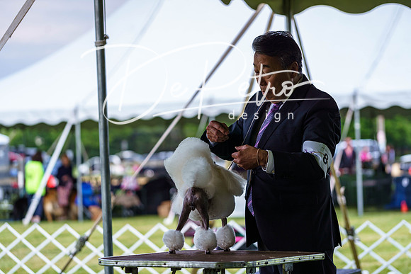 20190523-DSC07123