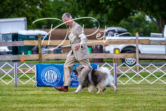 20190523-DSC07096