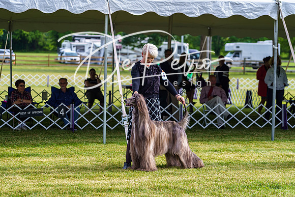 20190523-DSC07333