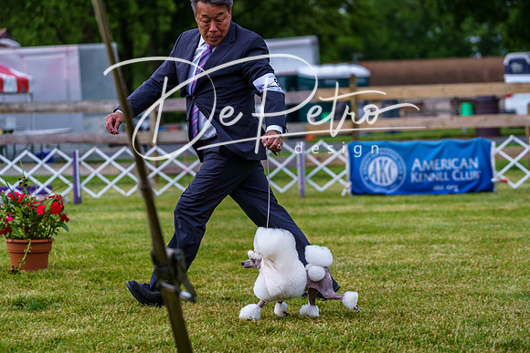 20190523-DSC07131