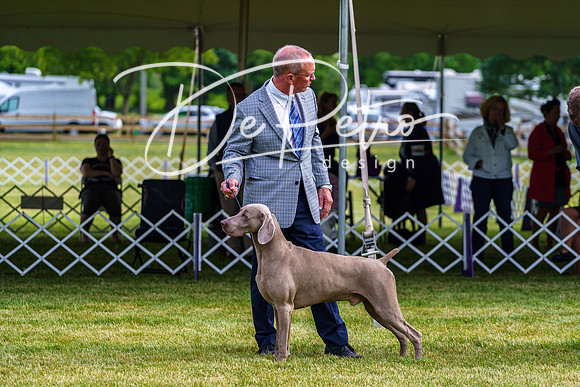 20190523-DSC07341