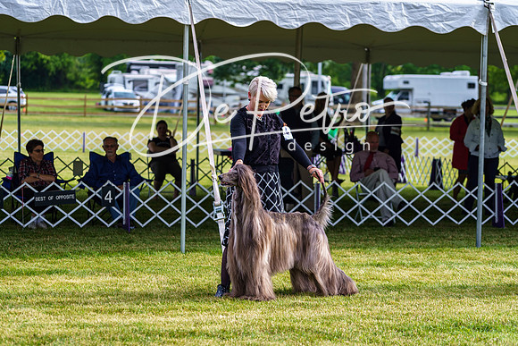 20190523-DSC07334