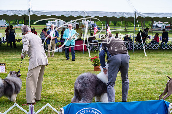 20190523-DSC07411