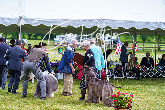 20190523-DSC07473