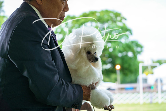 20190523-DSC07116