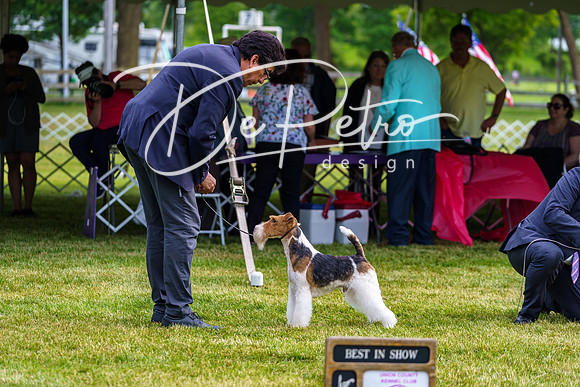20190523-DSC07358