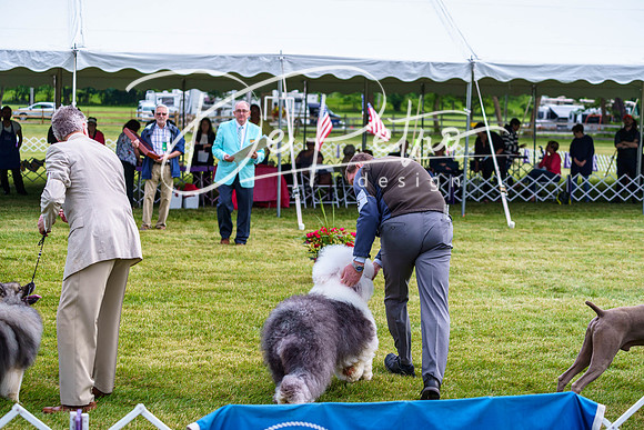 20190523-DSC07416