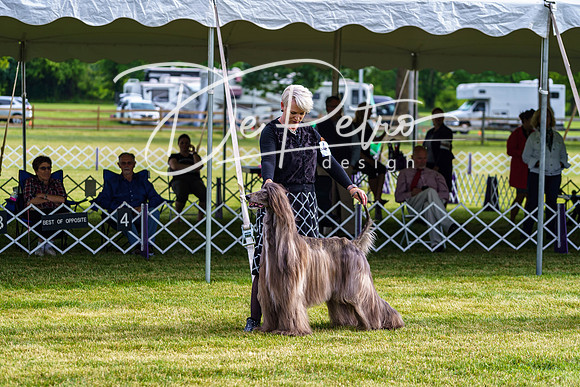 20190523-DSC07332