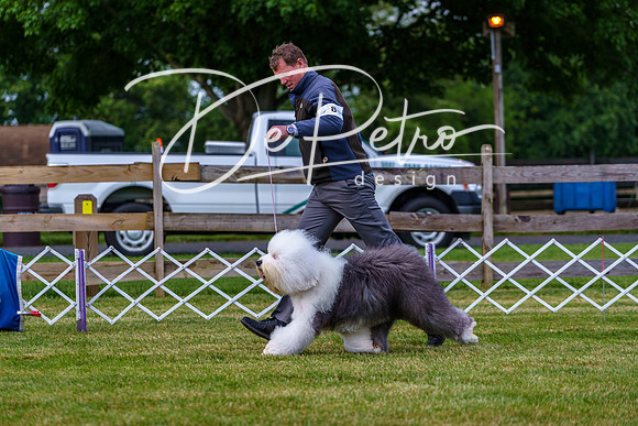 20190523-DSC07039