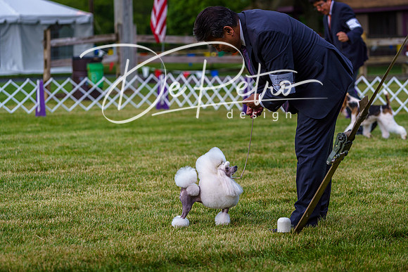 20190523-DSC07316