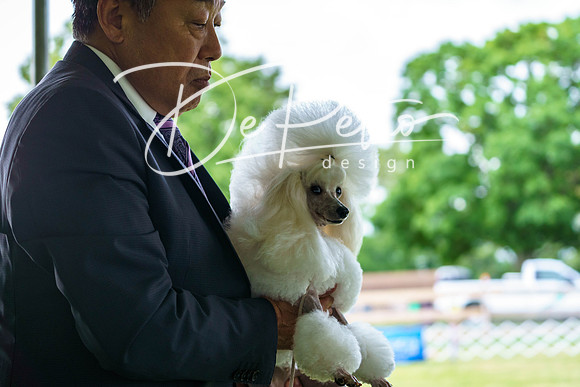 20190523-DSC07114