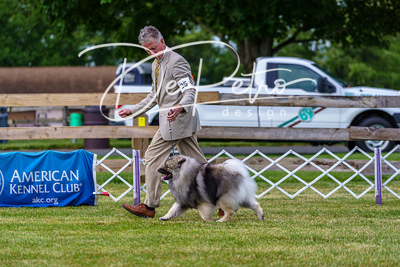 20190523-DSC07092