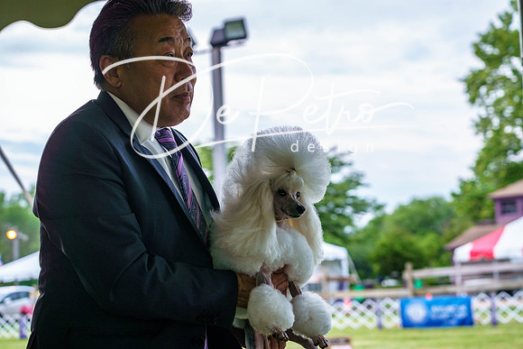 20190523-DSC07109