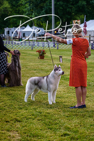 20190523-DSC07324